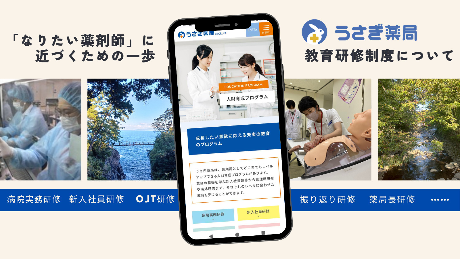 「なりたい薬剤師」になるための一歩！うさぎ薬局の教育研修制度について